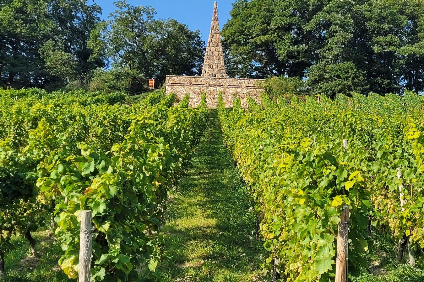 Der Goethestein in Frauenstein